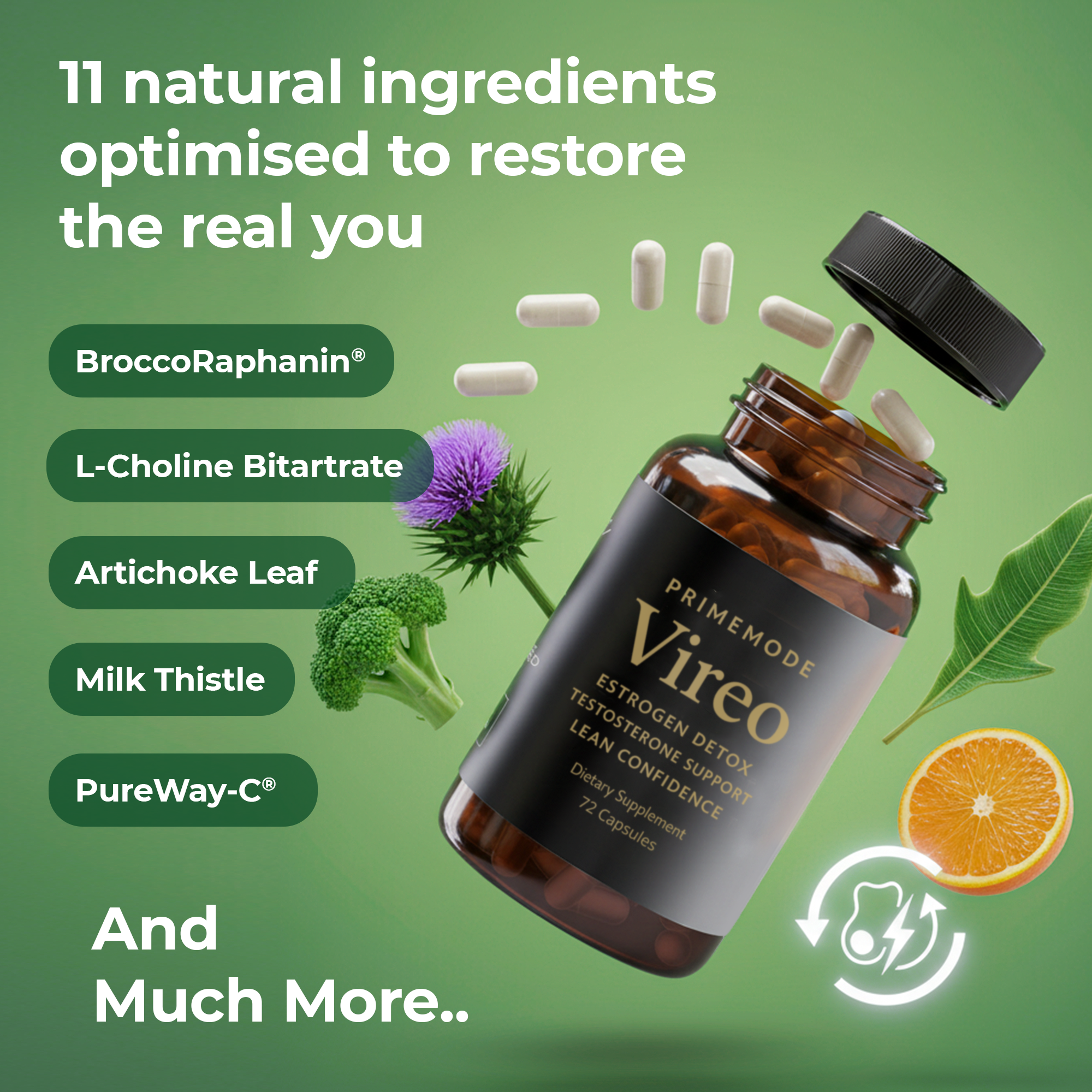 Vireo | The Complete Estrogen-Reset Formula For Men Who Refuse To Settle